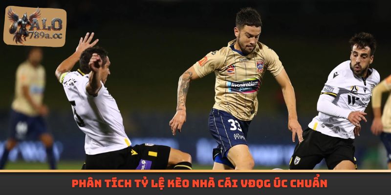 Phân tích tỷ lệ kèo nhà cái VĐQG Úc chuẩn